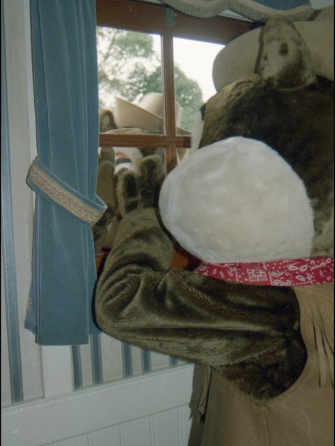 デールとチップ(蒸気船マークトウェイン号)