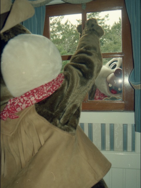 チップとデール(蒸気船マークトウェイン号)