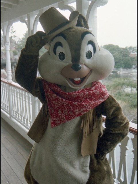 チップ(蒸気船マークトウェイン号)