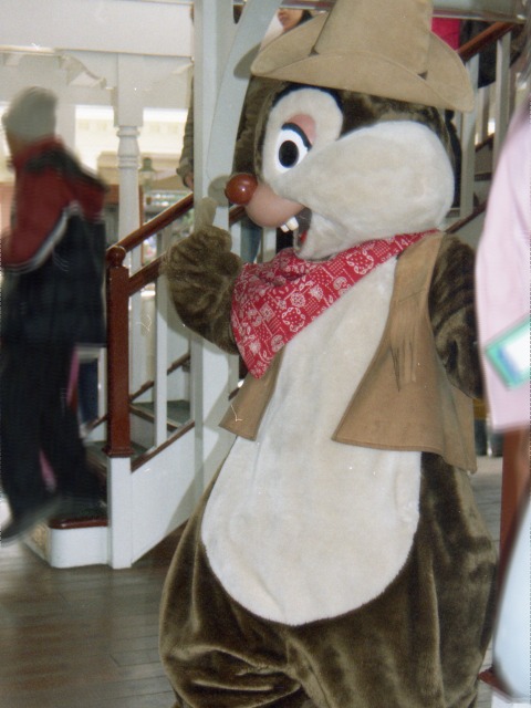 デール(蒸気船マークトウェイン号)