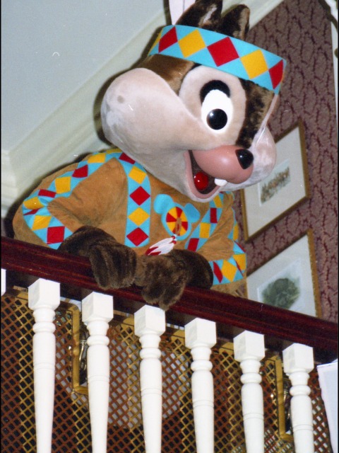 チップ（スルーフットスーのダイニング＆ファン）