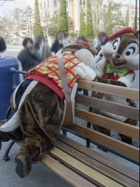 デールとチップ(アメリカンウォーターフロント)