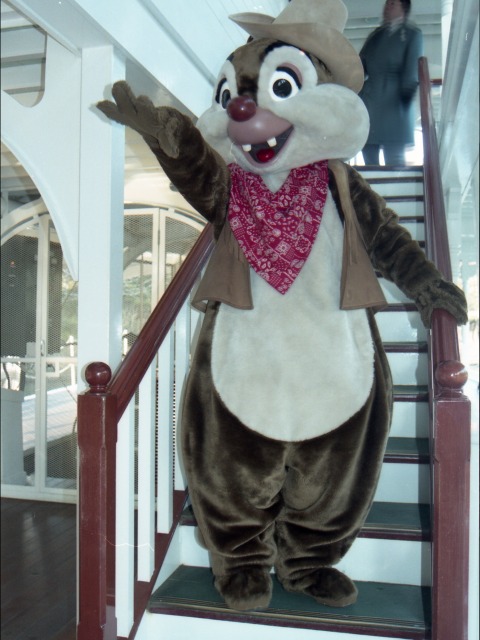 デール(蒸気船マークトウェイン号)