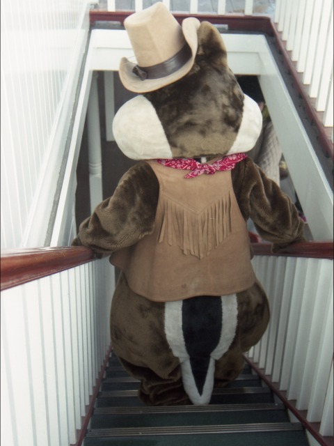 デール(蒸気船マークトウェイン号)