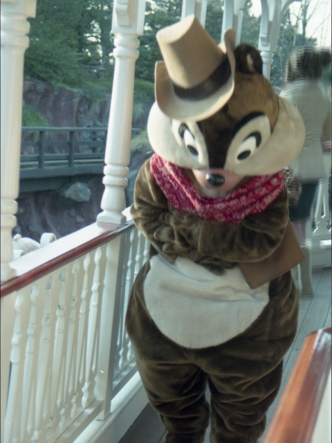 チップ(蒸気船マークトウェイン号)