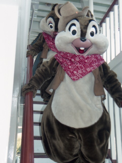 デールとチップ(蒸気船マークトウェイン号)