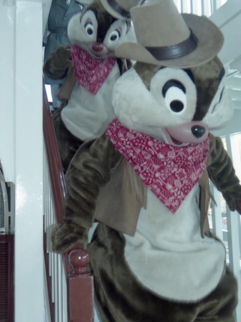 デールとチップ(蒸気船マークトウェイン号)