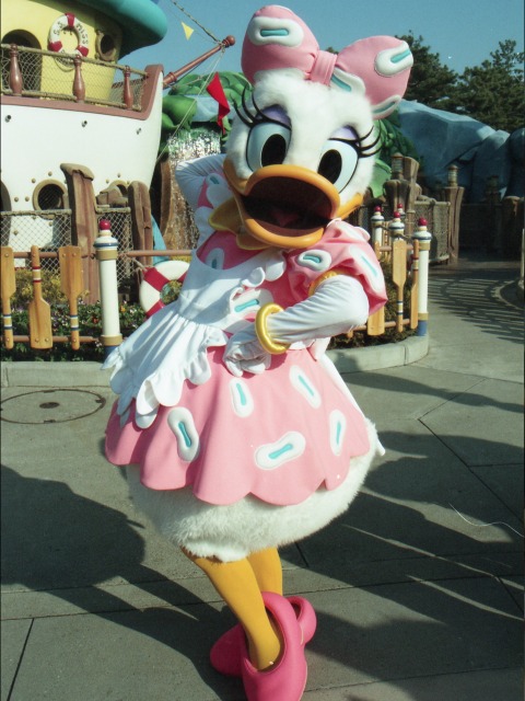 デイジーダック(トゥーンタウン)