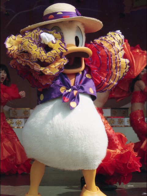 ドナルドダック（ミニー・オー！ミニー）