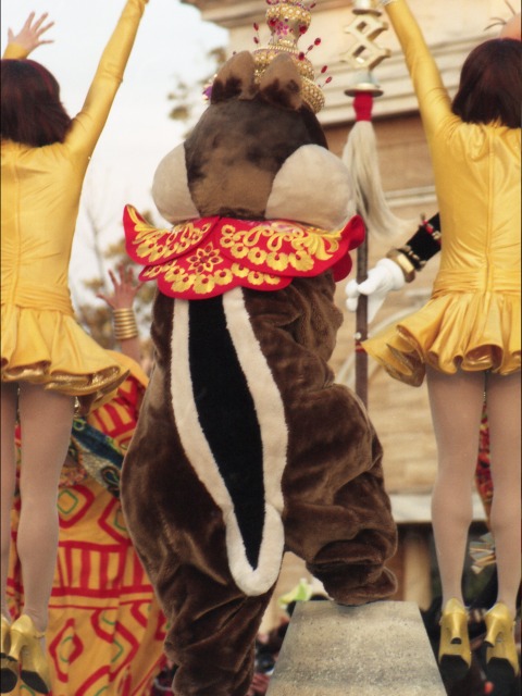 デール（ディズニー・リズム・オブ・ワールド2005）