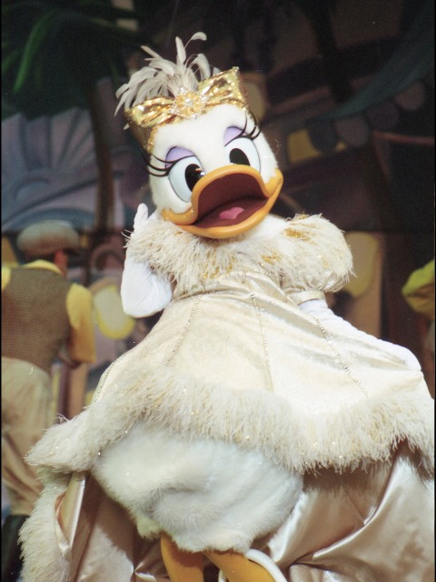 デイジーダック（ワンマンズ・ドリームⅡ－ザ・マジック・リブズ・オン）