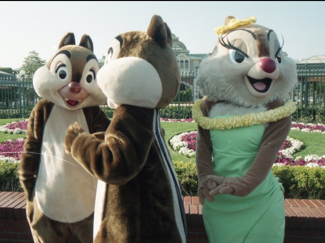 デール、チップ、クラリス（エントランス）