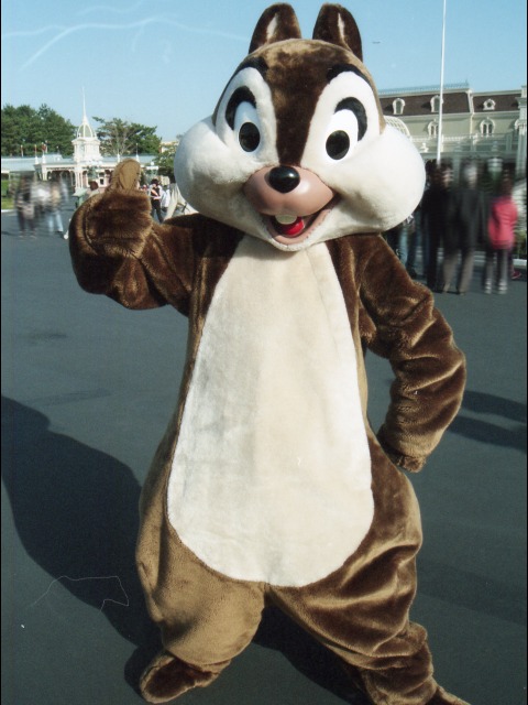 チップ(エントランス)