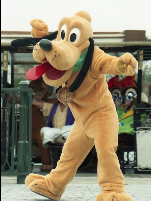 プルート（ミート＆スマイル）