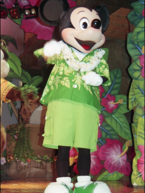 ミッキーマウス（リロのルアウ＆ファン）