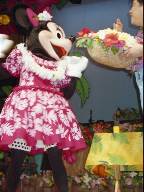 ミニーマウス（リロのルアウ＆ファン）