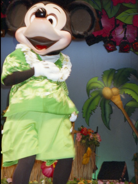 ミッキーマウス（リロのルアウ＆ファン）