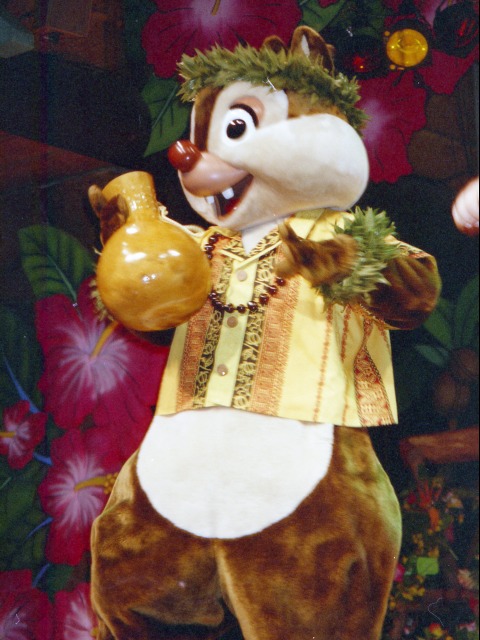 デール（リロのルアウ＆ファン）