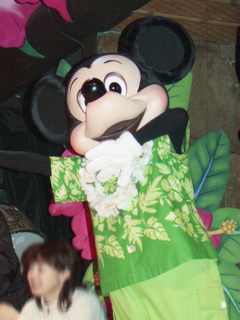 ミッキーマウス（リロのルアウ＆ファン）