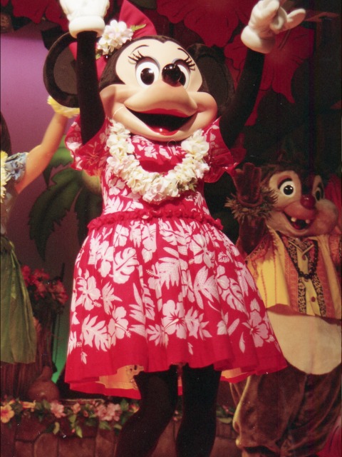 ミニーマウス（リロのルアウ＆ファン）