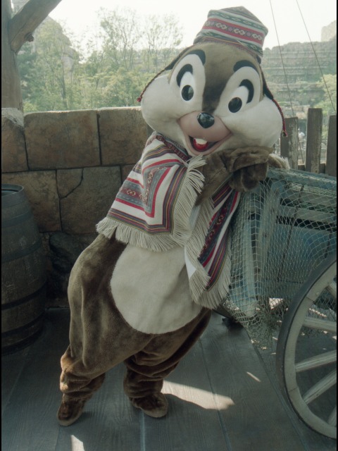 チップ(ロストリバーデルタ)