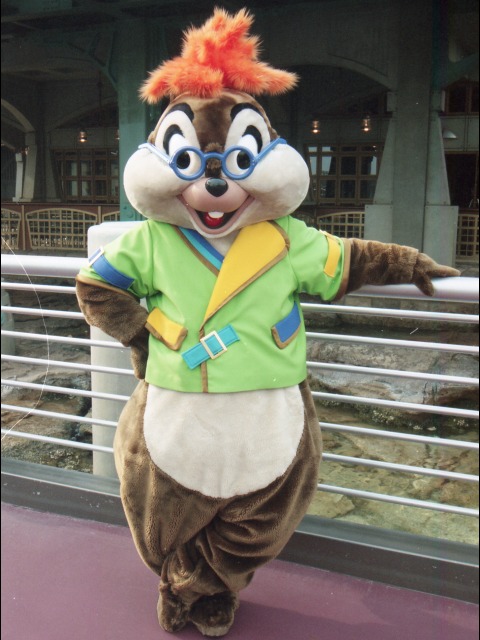 チップ（ポートディスカバリー）