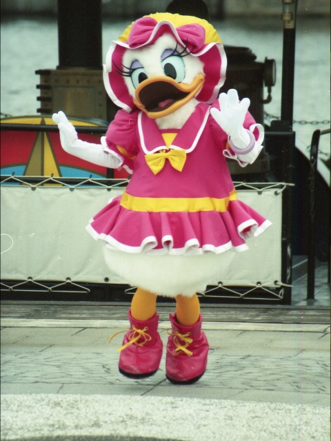 デイジー（ミート＆スマイル）