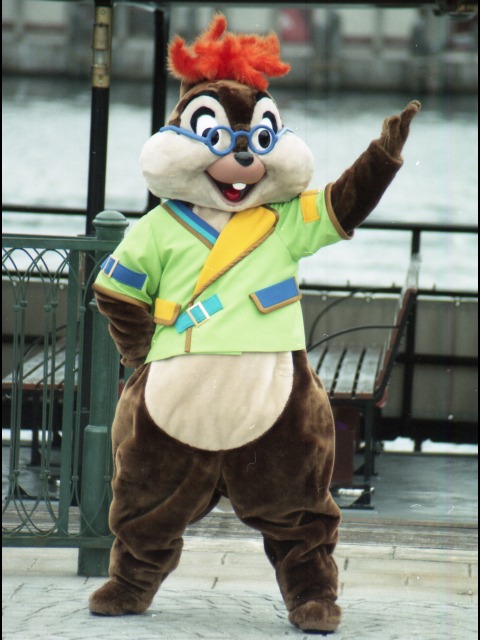 チップ（ミート＆スマイル）