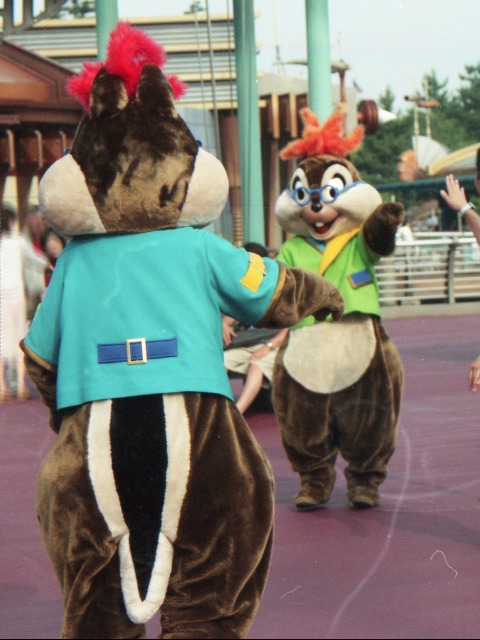 デールとチップ（ポートディスカバリー）