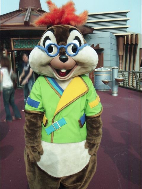 チップ（ポートディスカバリー）