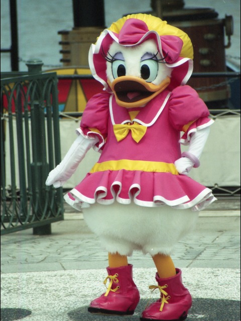 デイジー（ミート＆スマイル）