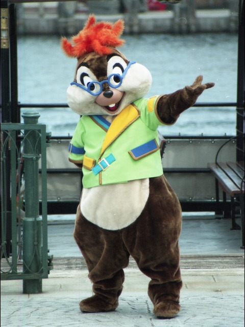 チップ（ミート＆スマイル）