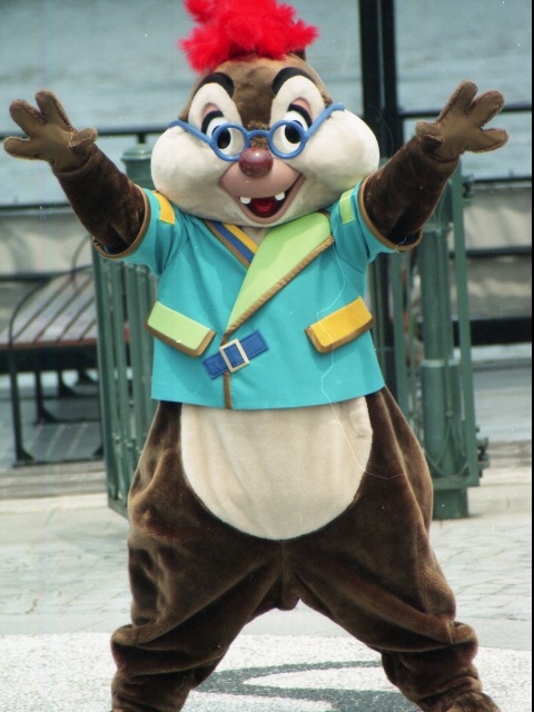 デール（ミート＆スマイル）