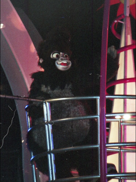 ターク（ブレイジング・リズム2005）