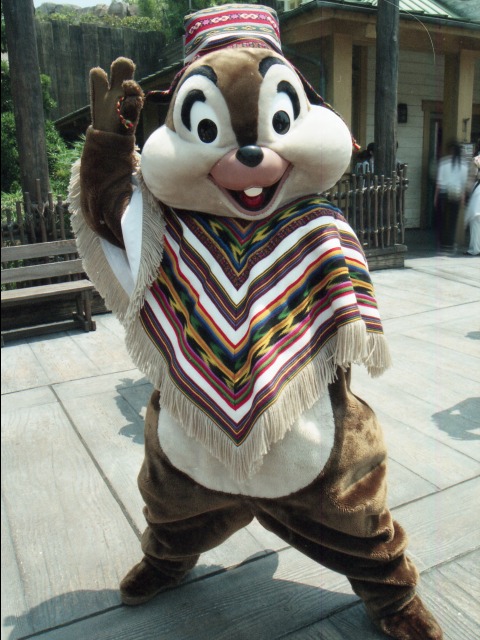 チップ（ロストリバーデルタ）