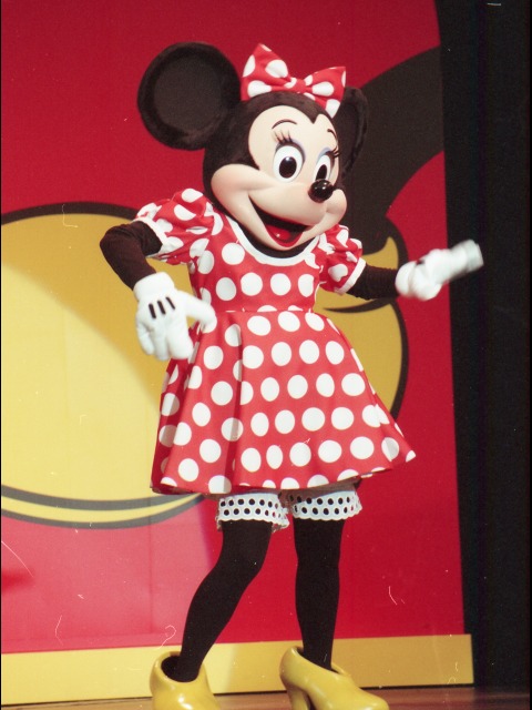 ミニーマウス（ファンダフル・ディズニー メンバーズパーティー）