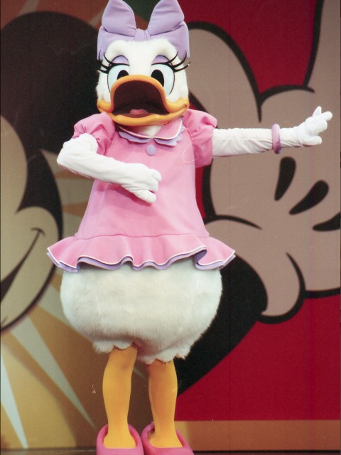 デイジーダック（ファンダフル・ディズニー メンバーズパーティー）