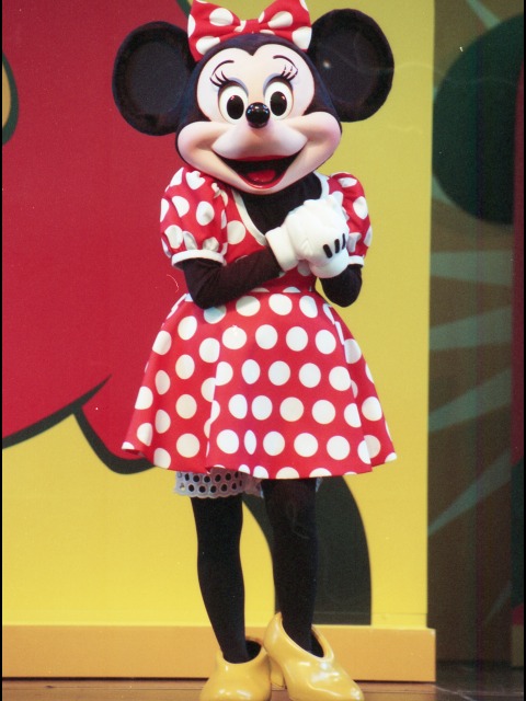 ミニーマウス（ファンダフル・ディズニー メンバーズパーティー）