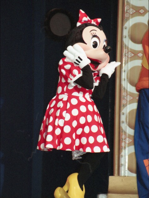 ミニーマウス（ファンダフル・ディズニー メンバーズパーティー）