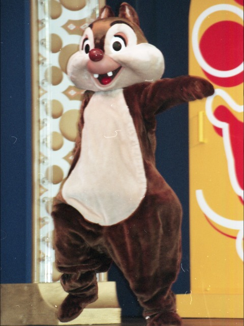 デール（ファンダフル・ディズニー メンバーズパーティー）