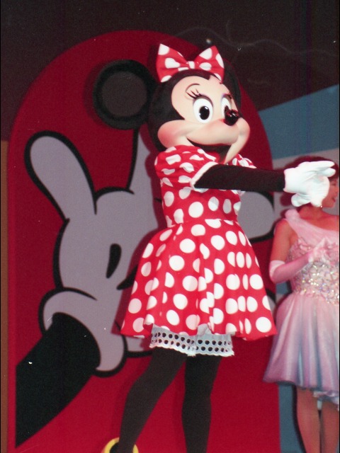 ミニーマウス（ファンダフル・ディズニー メンバーズパーティー）