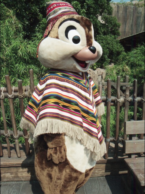 チップ（ロストリバーデルタ）