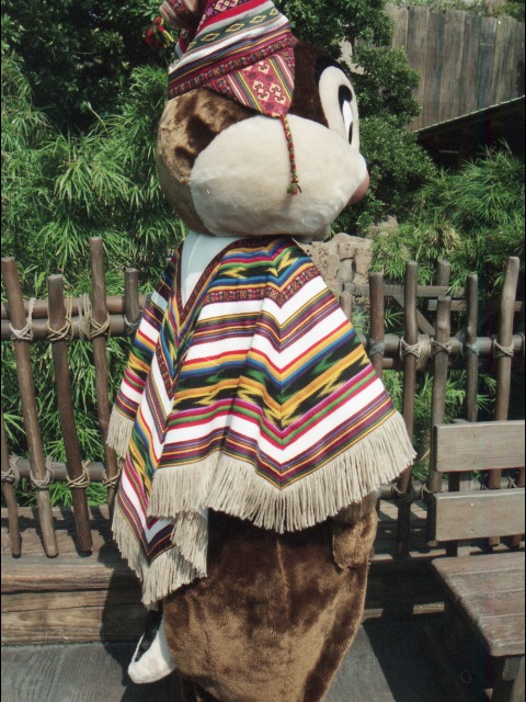 チップ（ロストリバーデルタ）