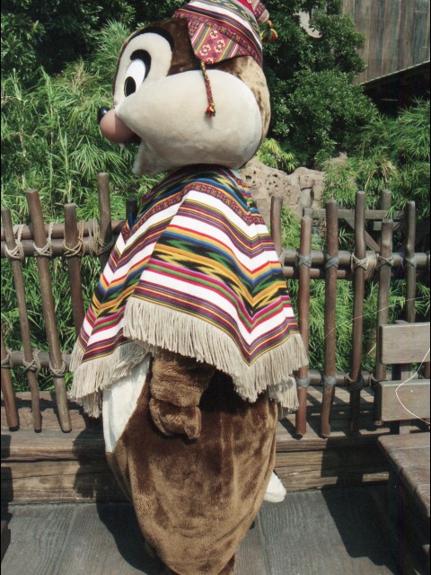 チップ（ロストリバーデルタ）