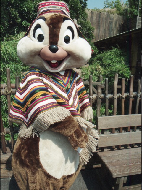 チップ（ロストリバーデルタ）