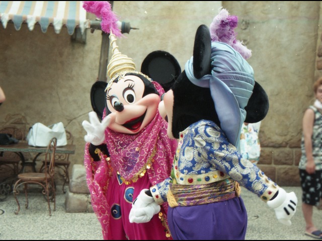 ミニーとミッキー（アラジンのホールニューワールド）
