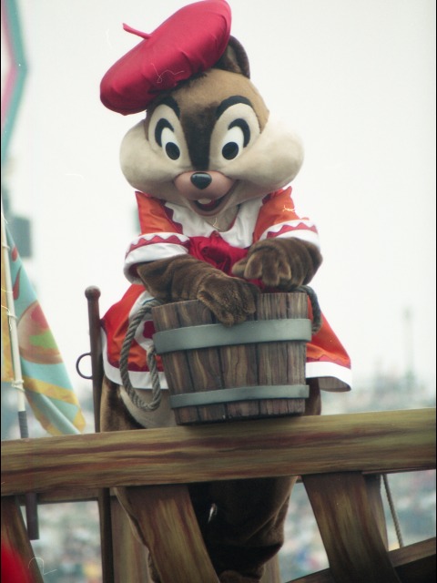 チップ（ポルト・パラディーゾ・ウォーターカーニバル）