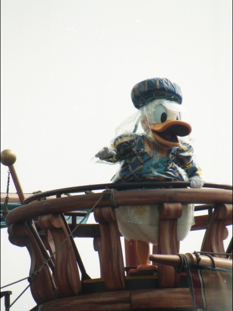 ドナルドダック（ポルト・パラディーゾ・ウォーターカーニバル）