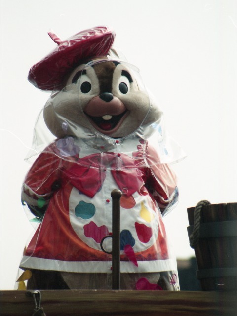 チップ（ポルト・パラディーゾ・ウォーターカーニバル）