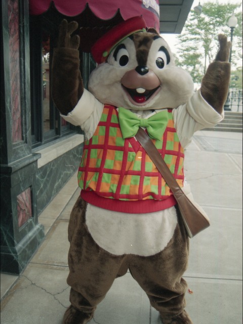 チップ（アメリカンウォーターフロント）